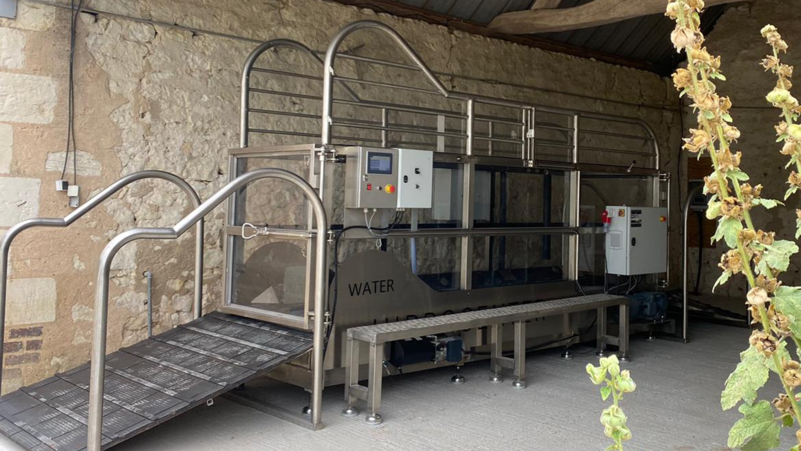 Balnéothérapie pour chevaux