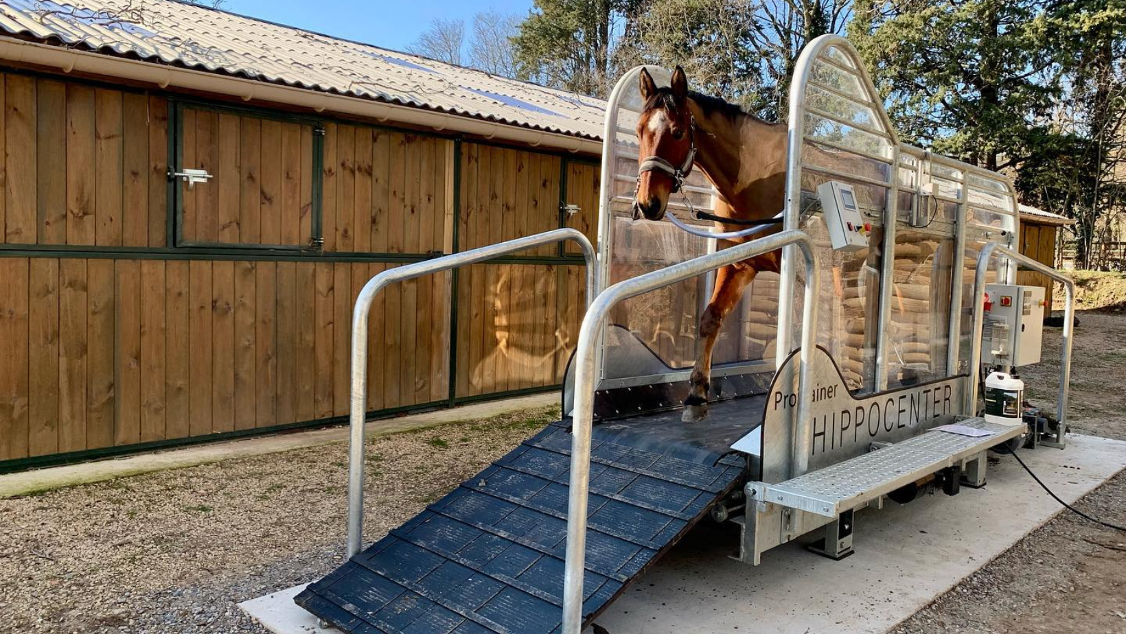 Tapis roulant  pour chevaux