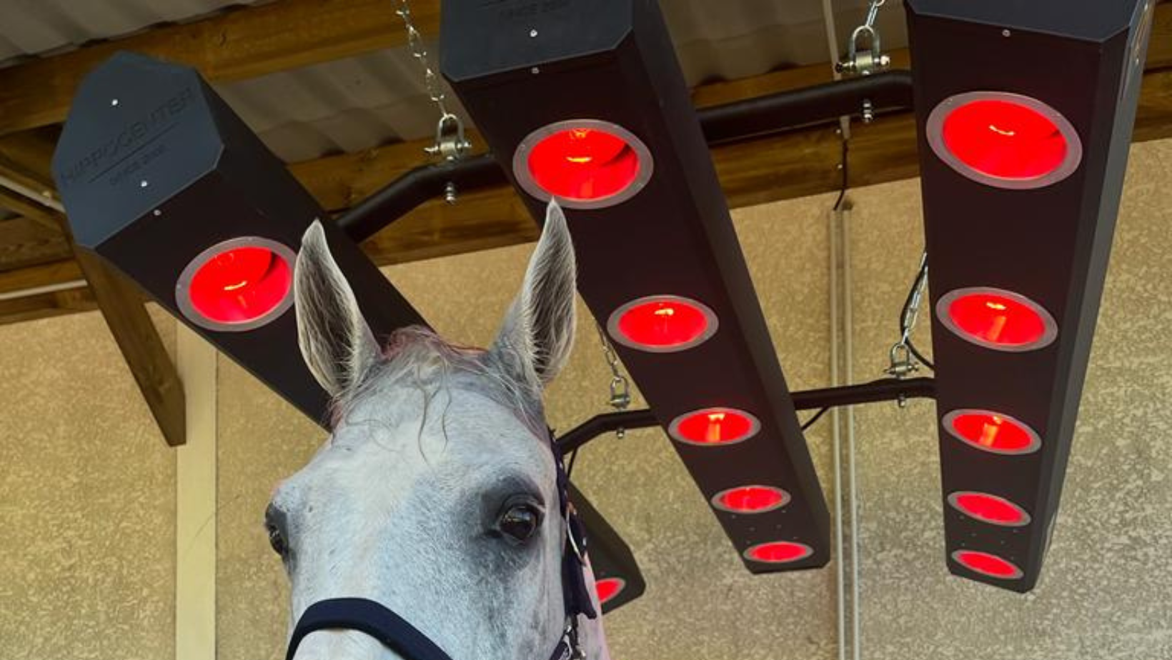 Matériel de soins pour chevaux